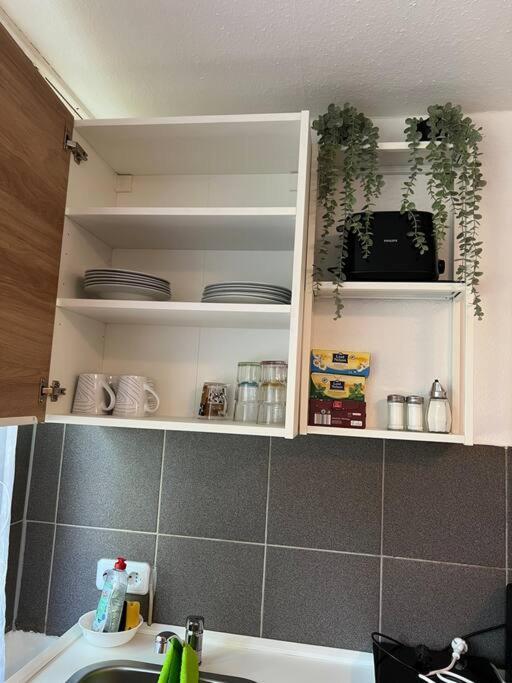 Apartment Am Stuttgarter Flughafen / Messe Leinfelden-Echterdingen Eksteriør bilde